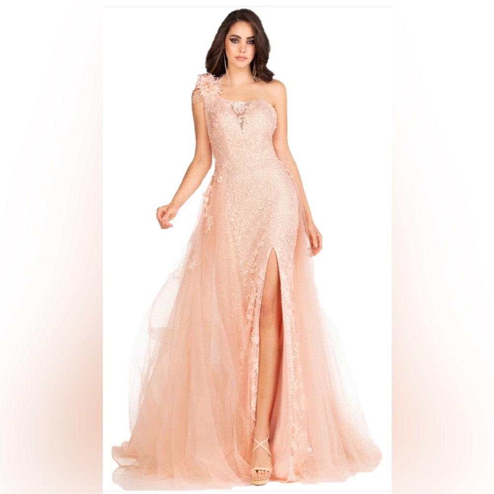 Abby Paris 90109 Sz 2 Blush Peach One Shoulder Feather 3d Floral Overskirt Gown